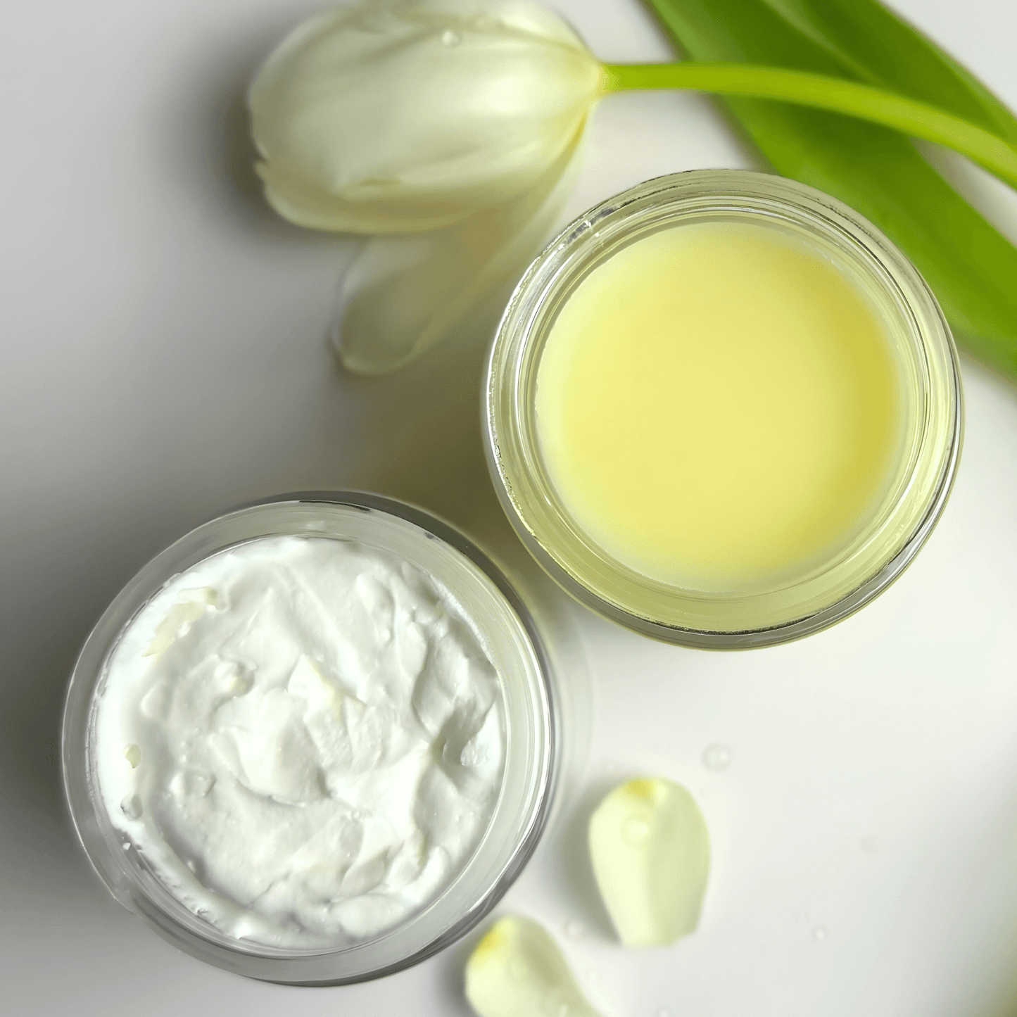 Day & Night Face Moisturizer Duo