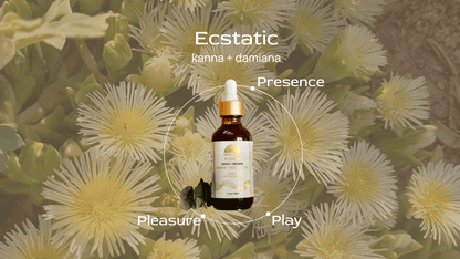 (PRE-ORDER) Ecstatic ⟡ Kanna & Damiana Drops